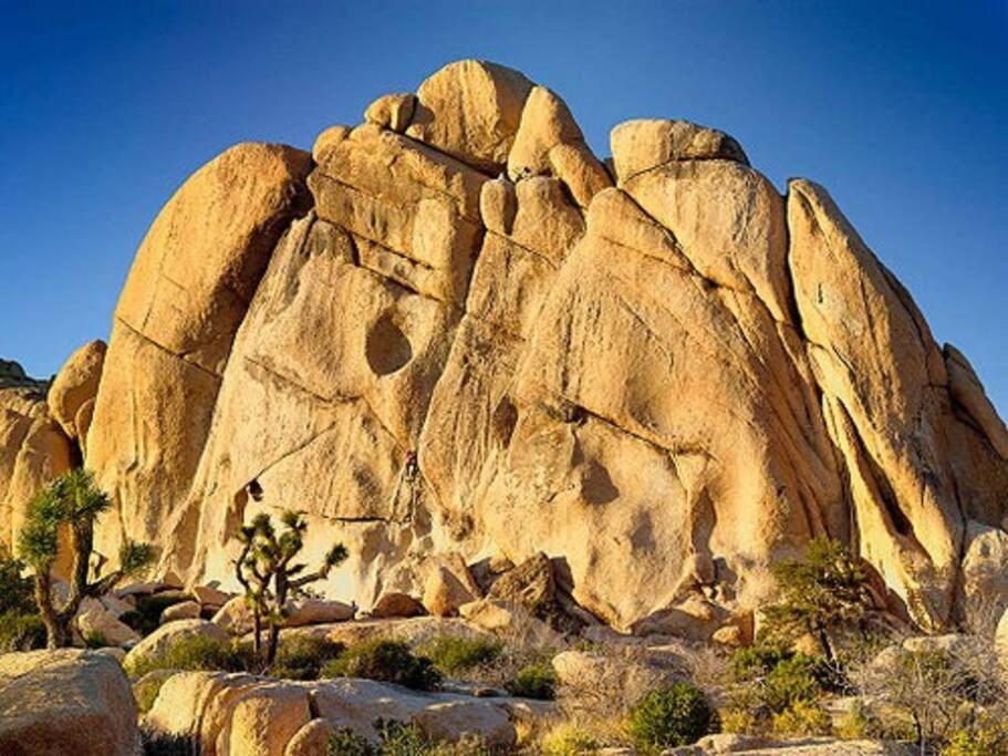 Cozy Stylish Home In The Heart Of Jt Village Joshua Tree Exterior foto